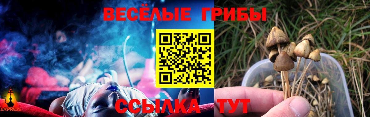 Галлюциногенные грибы прущие грибы  Вход с VPN  Галлюциногенные грибы Cubensis  Скопин 